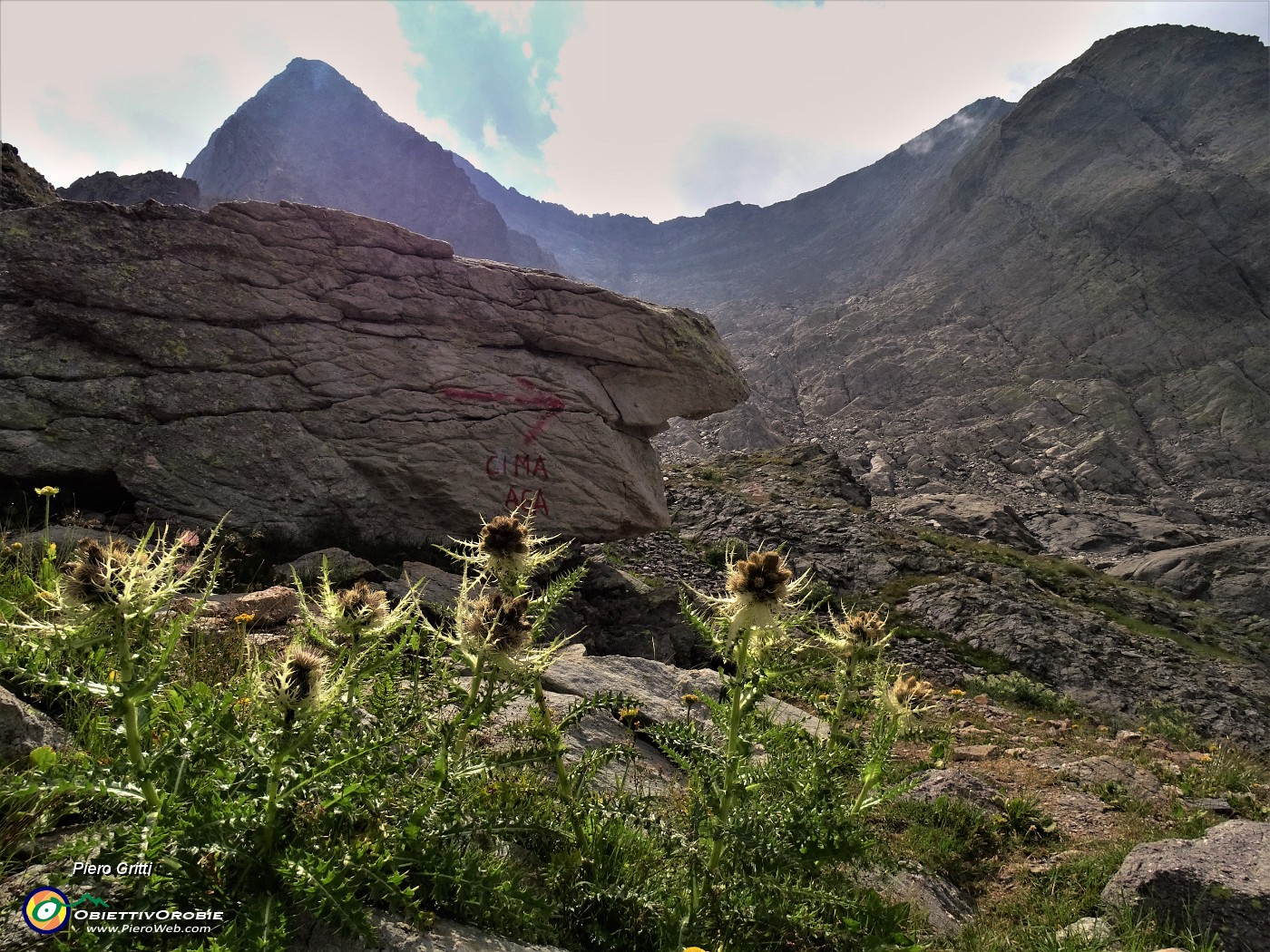 03 Cirsium spinosissimum (Cardo spinosissimo) sul tormentato sentiero in pietraia-macereto per Cima Aga .JPG